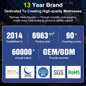 Tốt Bán Khách Sạn Căn Hộ Nội Thất Nhà Nữ Hoàng Kích Thước Nệm Giá Thấp Chất Lượng Cao Bìa Vải Polyester Mùa Xuân Nệm - Product Image 5