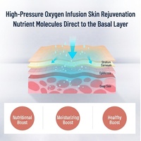 Pulvérisateur Portable Nano Haute Fréquence, Stylo Injecteur Jet d'Eau et d'Oxygène Haute Pression pour Hydratation et Rajeunissement Facial