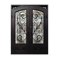 Portes d'entrée doubles en fer forgé noir, style français, avec design en verre, pour l'intérieur et l'extérieur, modèle populaire aux États-Unis