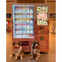 Distributeur automatique réfrigéré WiFi 2024 pour aliments pour animaux de compagnie en vente avec paiement par carte de paiement