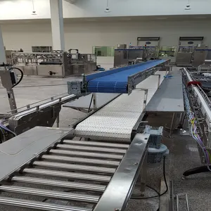 Transportadores de cadena de plástico moldeado por inyección para planta de fabricación
