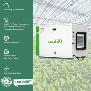 Se Busca Distribuidor: Deshumidificador para Invernadero de 380V 50Hz 120L-240L/Día, Montado en Techo para Cuarto de Cultivo - Product Image 5