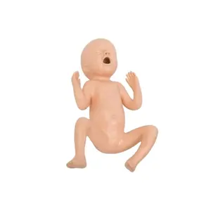 Preterm DARHMMY Advanced Medical Science Manikin 30 Weeks Preterm Infant Training Model