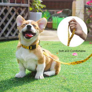 สายจูงสุนัขทำจากโพลีเอสเตอร์สุดหรูสายจูงสุนัขแบบปรับแต่งได้สายจูงสุนัขสะท้อนแสงพิมพ์ลายแฟชั่น - Product Image 3