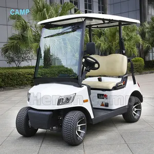 2-Sitzer Golf wagen elektrischer EU Street Legal Elektro roller mit eec 3-Punkt-Sicherheitsgurten