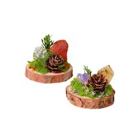 JianLan Grappe de cristaux naturels bruts avec mousse préservée, micro-paysage sur base en bois, pierre précieuse de guérison, décoration de mariage et d'anniversaire