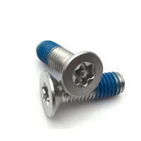Vis Torx à tête fraisée en acier inoxydable 304, vis de sécurité à emboîtement avec verrouillage de filetage M3M4M5M6, vis Torx à tête plate