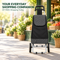 Sac de voyage pliable avec chariot de courses