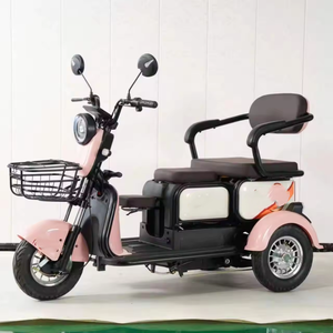 Triciclos Eléctricos Populares de 600W, Motocicleta Triciclo a Bajo <span class=keywords><strong>Precio</strong></span>, <span class=keywords><strong>Trimoto</strong></span> - Product Image 2