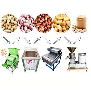 Machine à décortiquer les châtaignes, arachides, noisettes, haricots, cacahuètes blanchies et mangues pour la fabrication de beurre - Product Image 1