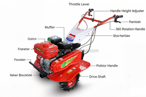 Mini-cultivateur pour le labourage, le désherbage et le travail du sol - Product Image 6