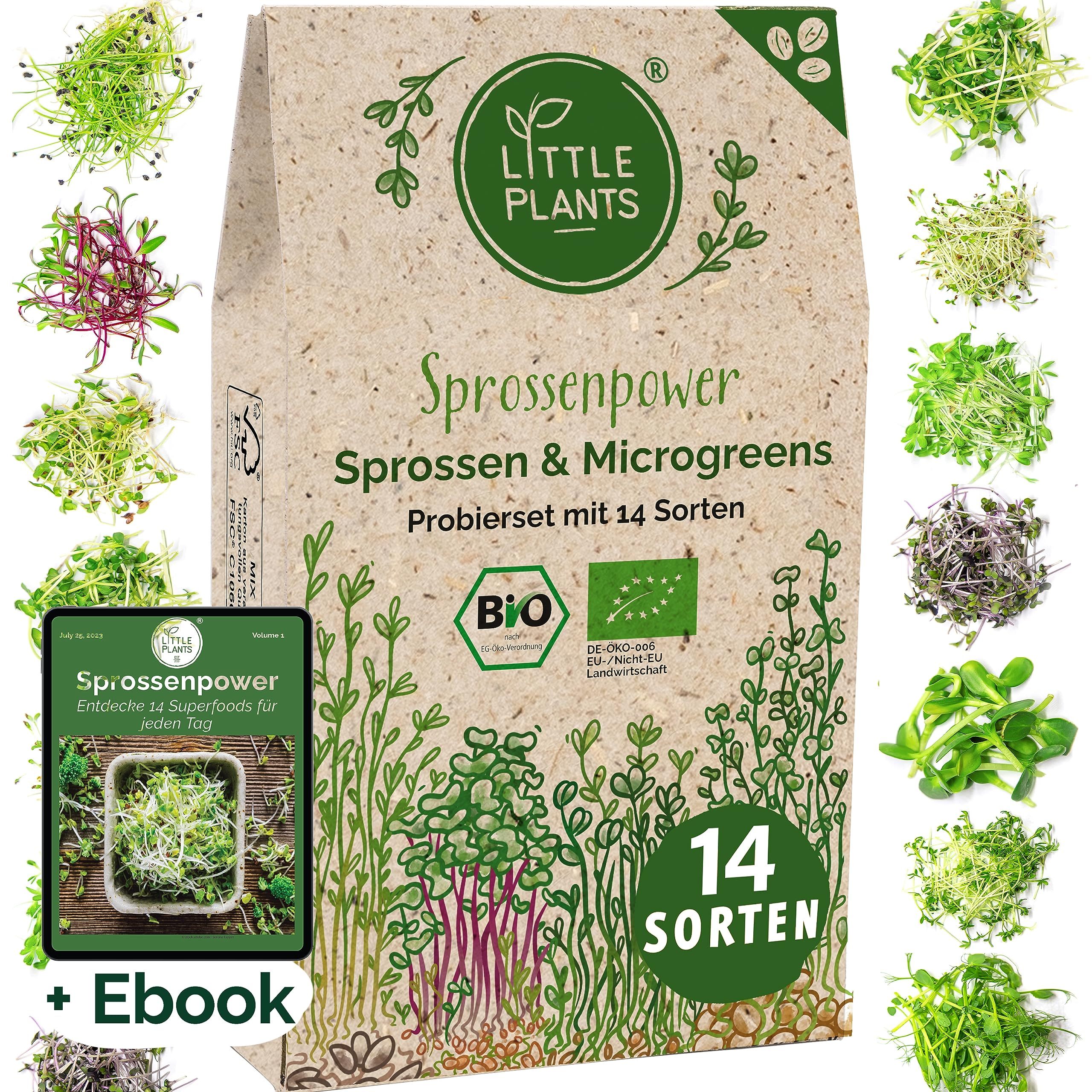 14+ Commercial Microgreen Seeds How to Choose the Best Micro Green Seeds Suppliers: A Complete Buying Guide