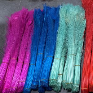 Plumes de paon blanchies et teintes faites à la main en gros pour mariage, décoration de maison, vase, carnaval, fête, bricolage et artisanat - Product Image 1