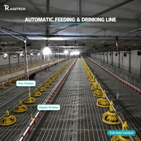 Ligne d'alimentation automatique en plastique PP pour volailles, conception avancée, équipement d'élevage de poulets de chair en élevage plat, marque RAISETECH