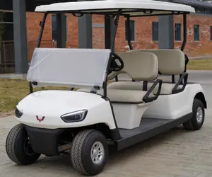 बुगी/गोल्फ कार्ट दर्शनीय कार 6 सीटर इलेक्ट्रिक दर्शनीय