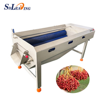 Machine à laver automatique SDLEADING palmiers dattes