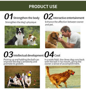 Lanceur de balles pour chien en plastique écologique avec balle de tennis, nouveau design, jouet pour animaux de compagnie pour un jeu interactif - Product Image 6