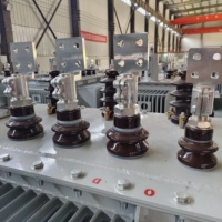 Transformateur de distribution triphasé immergé dans l'huile de qualité industrielle 10 kV, 400 V/480 V, haute efficacité, faible consommation