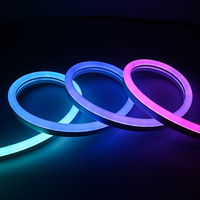 Bande lumineuse LED néon intelligente étanche 12x25MM, vue latérale, bande néon flexible adressable 12*25mm, tube néon LED