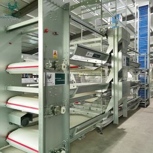 Zware Commerciële Kippenuitrusting Eierproductie Met Hoge Capaciteit Automatisch H-Type Laagkooisysteem Voor Pluimveebedrijven In Brazilië - Product Image 3