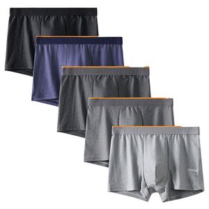 Calzoncillos bóxer para hombre 100% algodón, de punto, de tiro medio, transpirables, antibacterianos, con diseño de cintura de seda de leche - Product Image 1