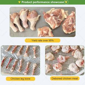 Máquina automática deshuesadora de carne para cuello de pollo, muslos, patas y alas de aves de corral - Product Image 6