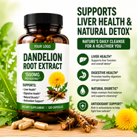 Capsules d'extrait de racine de pissenlit naturel à marque privée, vente directe d'usine, complément alimentaire à base de plantes, échantillon disponible