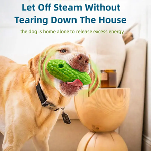 Yeni acı kavun interaktif köpek oyuncaklar sebze köpekler gıcırtılı TPR acı kabak çiğneme diş çıkartma oyuncakları Pet ürünleri - Product Image 4