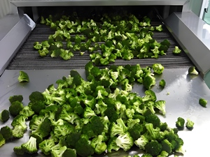 Congélateur à lit fluidisé pour pommes de terre, carottes et légumes en dés, congélateur IQF à lit fluidisé pour crevettes, filets de poisson et coquilles Saint-Jacques - Product Image 3
