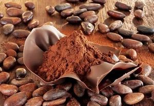 Cacau em Pó Alcalinizado a Granel com Certificação Halal e 10-12% de Gordura da Costa do Marfim - Product Image 4