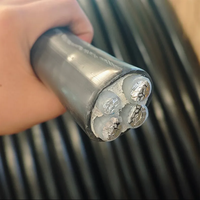 Cable de Alimentación de Fábrica 0.6/1kV, Cable Eléctrico de Bajo Voltaje