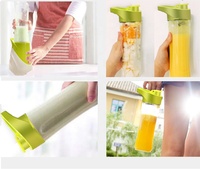 300W Krachtige Motor Smoothie Blender Juicer Mixer Elektrische 600Ml Draagbare Blender Huishoudelijke Fruitpers