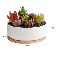 Maison & Jardin Grand pot à fleurs blanc en céramique pour plantes succulentes