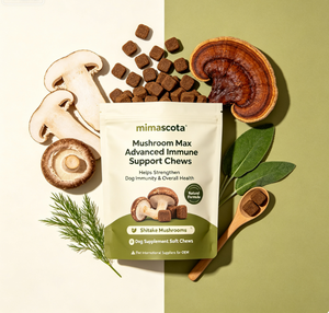 Complément alimentaire pour chiens Mushroom <span class=keywords><strong>Max</strong></span> Advanced Immune Support, en forme de bouchées moelleuses, aux champignons Shiitake, contribue à renforcer l'immunité et la santé globale. - Product Image 2