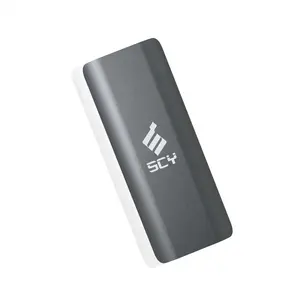Externe tragbare SSD-Festplatte PSSD Hot Sell Typ C USB 3.1 128GB Laptop M.2 SATA 2280