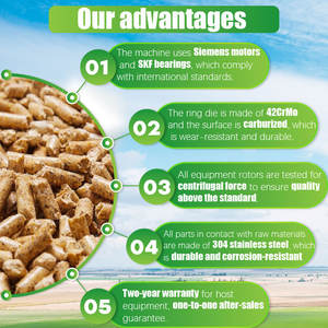 RICHI 이집트의 전문 맞춤형 돼지 사료 펠레타이저 기계 - Product Image 3