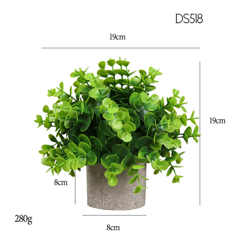 518  Encryption greater Eucalyptus