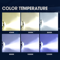 OEM hid xenon light replacement 4300K 5000K 6000K 8000K 10000K 12000K D1S D2S D2R D3S D4S D4R D5S D8S 35W hid ampoule de phare
