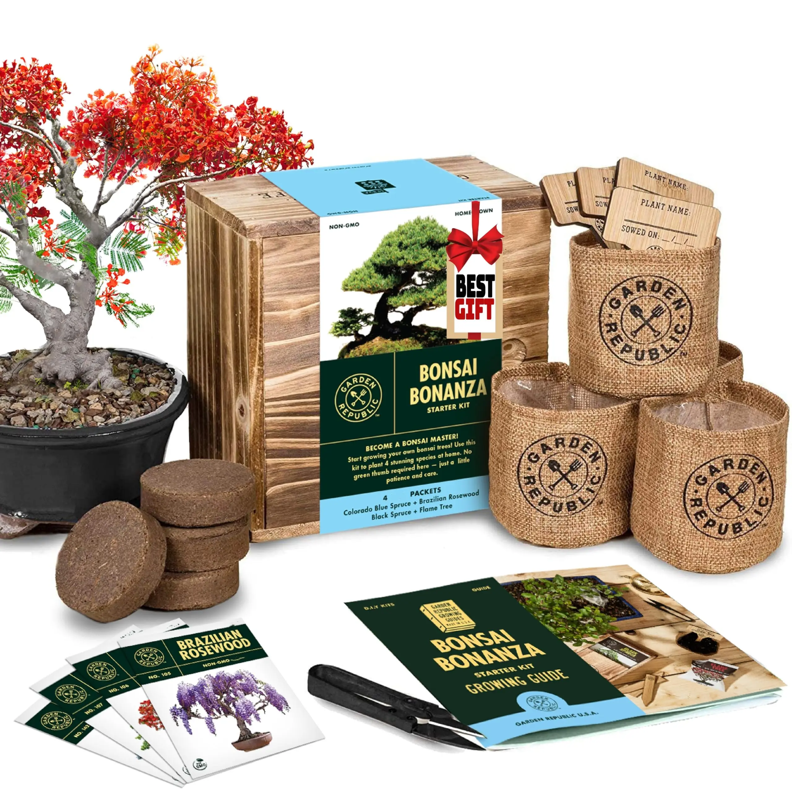 Bonsai Tree Starter Kit Mini Germinación Plantación Kits Caja de regalo de madera Día Jardinería Regalos para mujeres