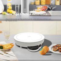 Cuisinière à induction à plaque chauffante à induction électrique durable de la meilleure qualité pour un usage domestique