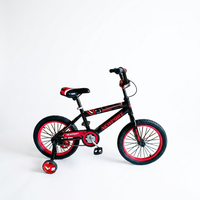 Vélo Enfant 12 Pouces à Roues Stabilisatrices, Design Attrayant, Vente Chaude, Prix Abordable, pour Enfants de 3 à 12 Ans