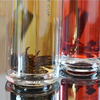 Bouteille d'eau à Double paroi, ml, infuseur classique avec passoire