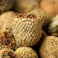 Fruta de Frambuesa Seca, Cruda, Orgánica y Natural al por Mayor, Hierbas Chinas Fructus Rubi para Aumentar la Libido y el Proceso AD