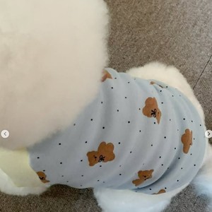 Gilet pour chien rose et bleu à pois imprimé ours, respirant, pour toutes les saisons, vêtements pour petits chiens - Product Image 3