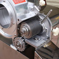 Industriële groente- en fruitsnijder met motor & tandwiel voor bakkerijen, meelfabrieken, wortelen, aardappelen, gember, snijden in blokjes, snijden in plakjes.
