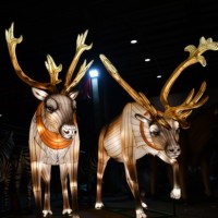 Fabricante de Faroles Escolares de Seda China para el Festival de Sichuan, Luces para Programas de Producción Televisiva, Fábrica de Luces para Ramadán y Graduaciones