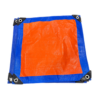 Feuille en plastique imperméable de bâche de PE de polyéthylène à haute densité enduite par couleur bleue Offres Spéciales pour l'auvent de camion extérieur
