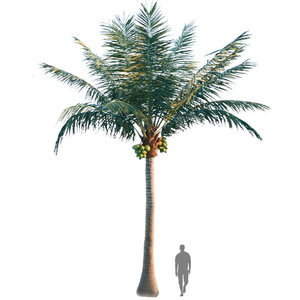 Palmera Artificial Grande de Fibra de Vidrio, Simulación de Palmera, Palmera Falsa para Exteriores, Resistente a los Rayos UV, para Decoración de Parques - Product Image 6