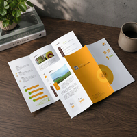 Brochure personnalisée imprimée en offset, dépliant pliable sur papier cartonné, service d'impression de prospectus promotionnels