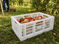 Boîte de rangement logistique pliable empilable en plastique maillé, caisses en plastique pour fruits et légumes